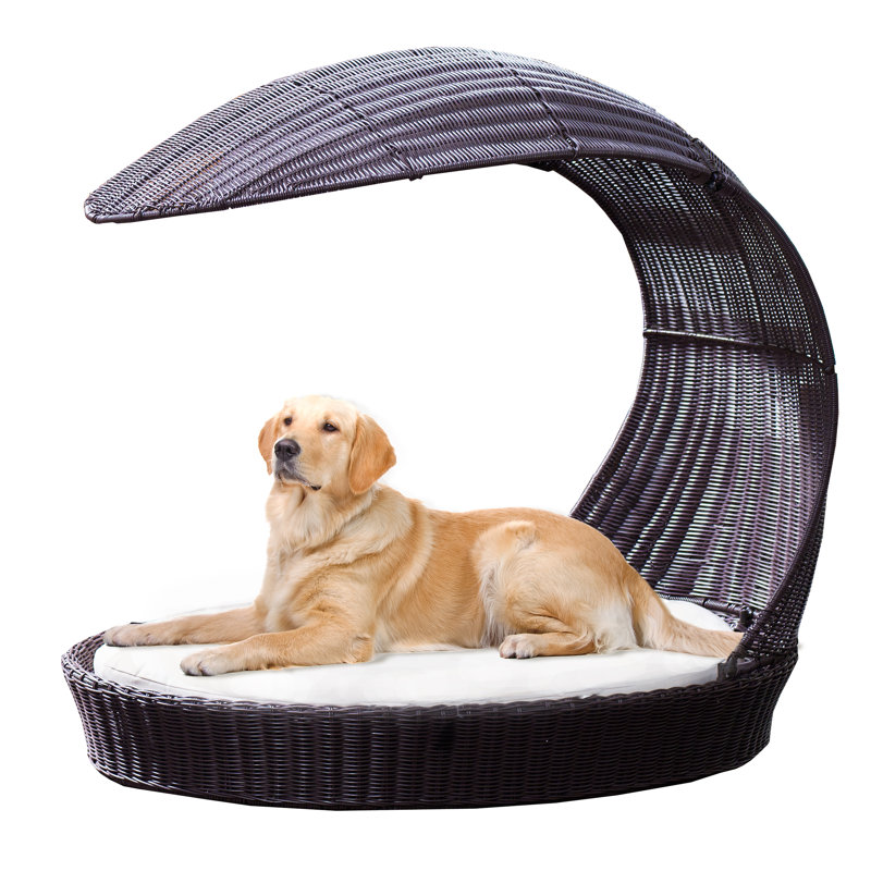 Archie & Oscar™ Clara Outdoor Hooded Dog Bed & Reviews Wayfair